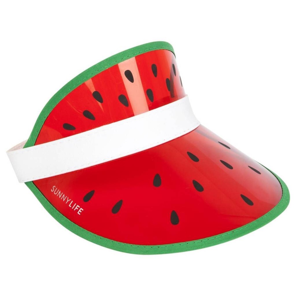 Sun Visor